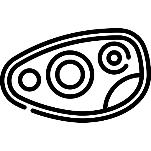 phare.webp