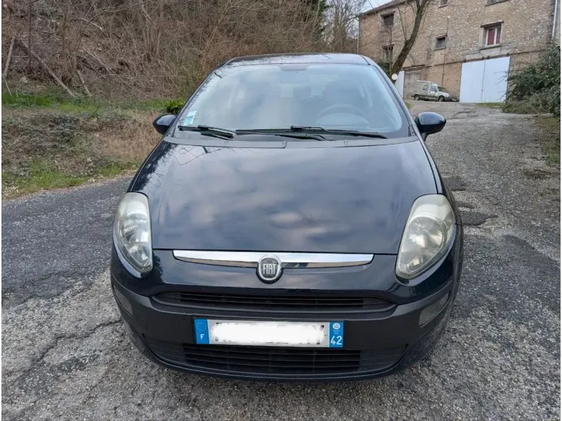 fiat punto (1)